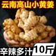 云南小黄姜10斤新鲜农家自种生姜仔姜嫩姜老姜汁月子姜沙姜 包邮