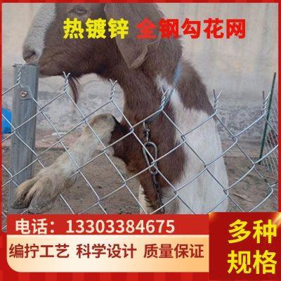 铁丝网围栏养殖网勾花网狗牛羊防护网果园圈地隔离网热镀锌钢丝网