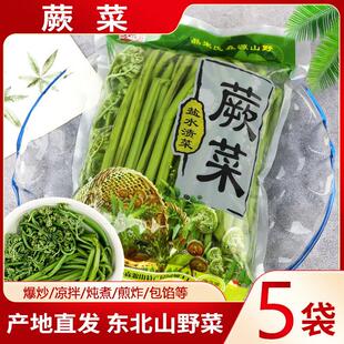 东北特产蕨菜小兴安岭伊春山野菜绿蕨菜山蕨菜袋装森源450g*5袋