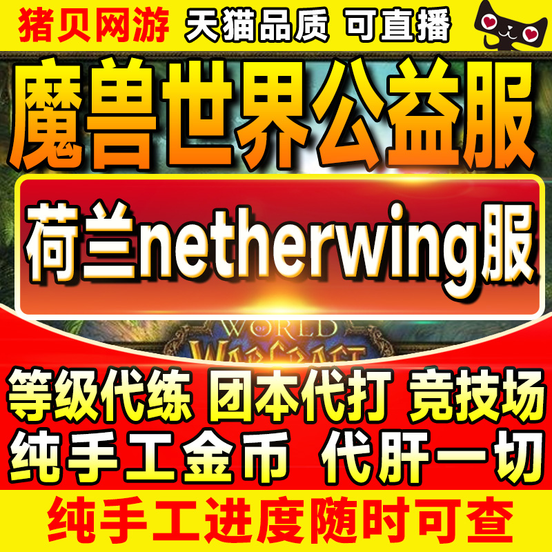 魔兽世界Netherwing荷兰服TBC代练代肝团本代打竞技场手工金币 游戏服务 游戏币（新） 原图主图