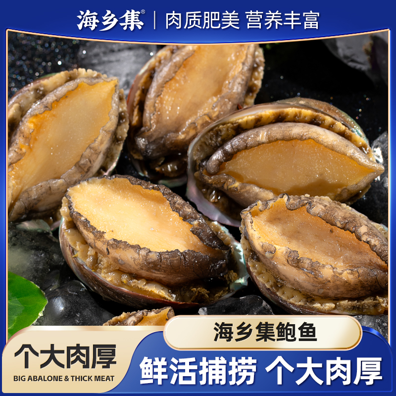海乡集鲍鱼水产食材300g*3袋到手共18只