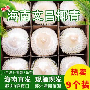 海南文昌椰青特大果9个装新鲜椰子去皮生椰子孕妇水果当季整箱