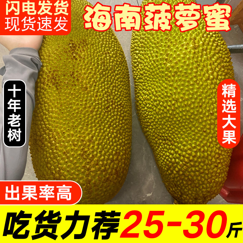 老树】海南黄肉菠萝蜜一整个脆甜干苞产地直发新鲜水果当季整箱40