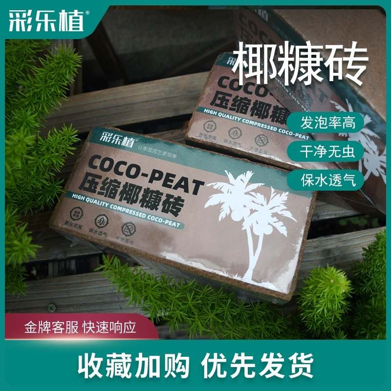 彩乐植进口小椰砖椰糠大块椰壳月季三角梅通用透气介质花卉种植土,鲜花速递/花卉仿真/绿植园艺,介质/营养土,淘宝优惠券,粉丝福利购,淘宝优惠卷