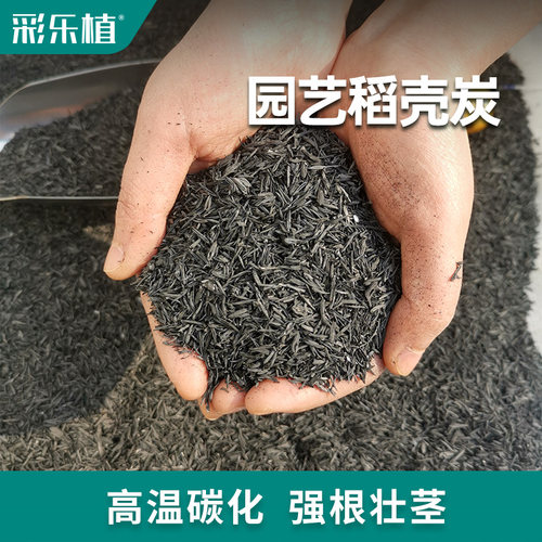 颗粒稻壳炭草木灰彩乐植
