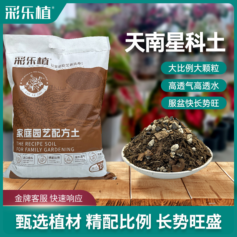 天南星科热植专用土透水透气土壤