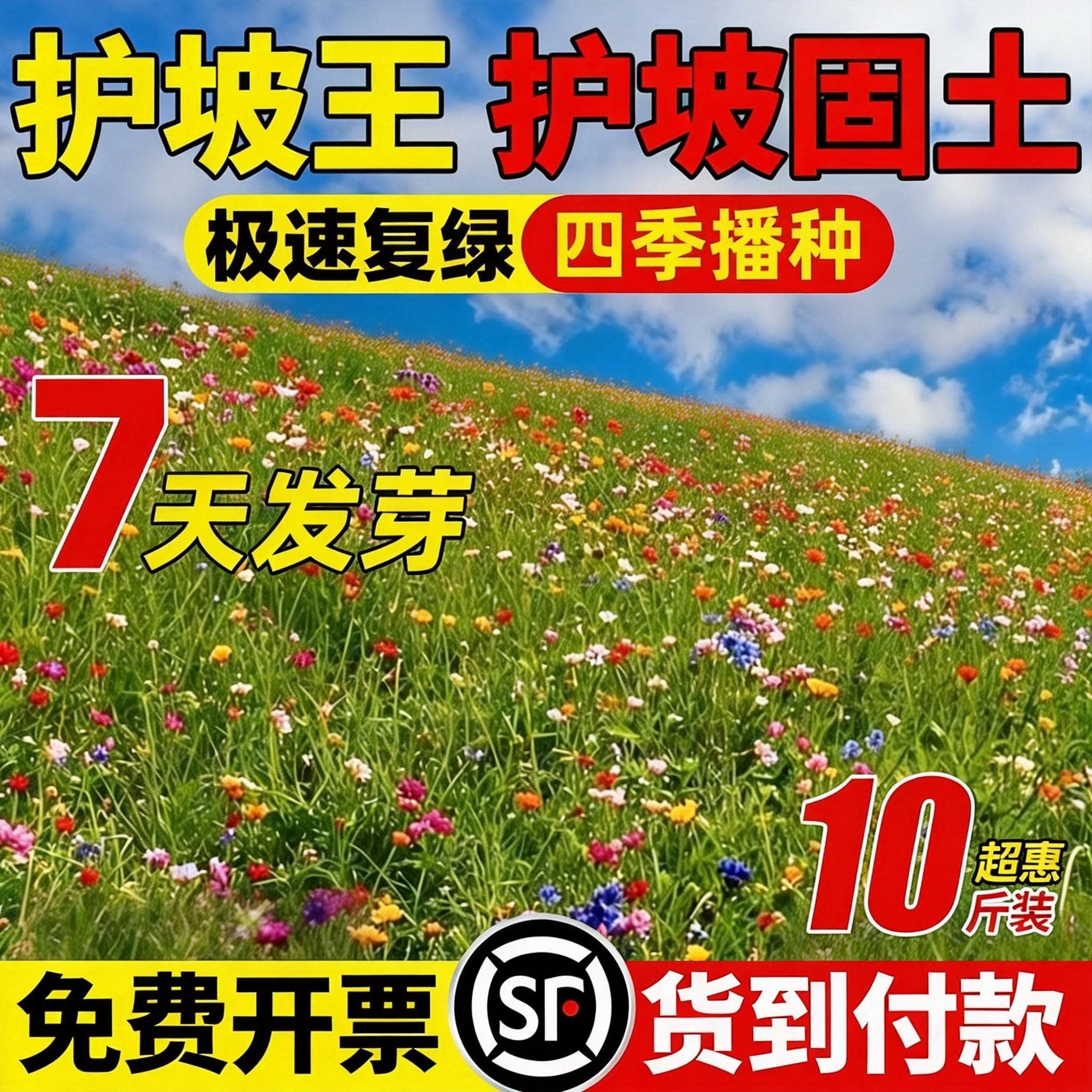 护坡固土草籽种子四季常青耐旱抗热植物草坪高速护坡绿化灌木种籽