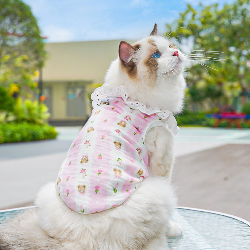猫衣服全棉纱透气薄款狗狗猫咪宠物狗用品空调服可牵矮脚猫防掉毛