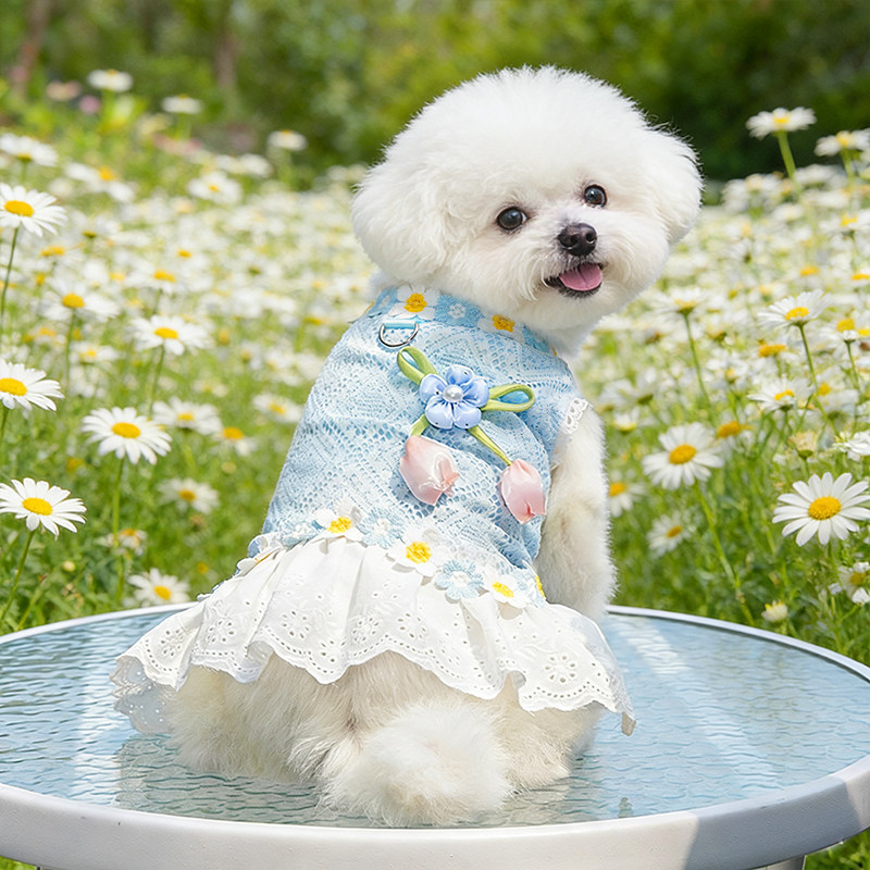 小狗衣服裙子夏季新款小型犬薄款连衣裙薄款宠物小猫咪网眼花边裙
