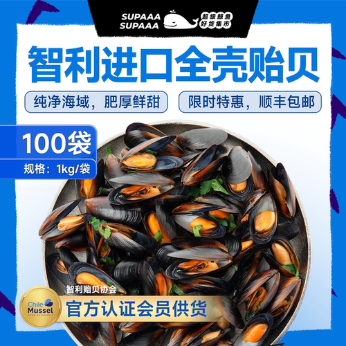 智利进口全壳商用贻贝肥厚鲜甜