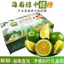 包邮 原产地发 特产园现摘水果礼盒普通装 海南琼中绿橙建邦新鲜应季