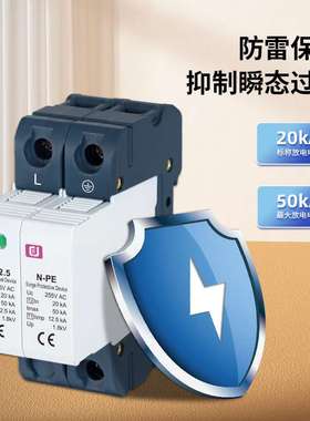 策佳浪涌保护器SPD避雷器1P+N/3P+N家用AC275V交流直流电涌防雷器