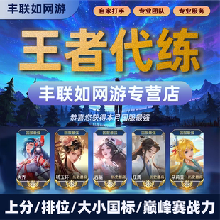 王者荣耀代打代练陪玩上分战力巅峰国标秒上号魔方陪玩代上分车队
