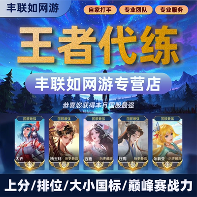 王者荣耀代打代练陪玩上分战力巅峰国标秒上号魔方陪玩代上分车队