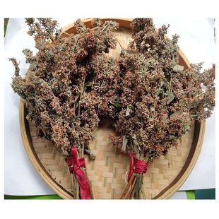 云南德宏特产密蒙花干新货正品染饭花