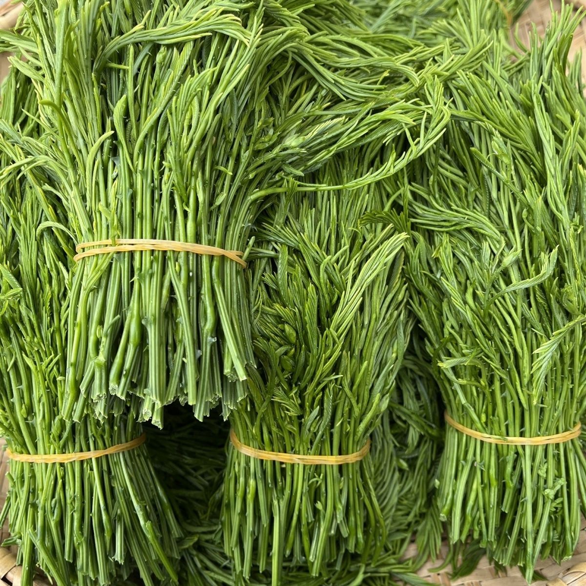 臭菜傣族绿叶宴帕哈新鲜现摘