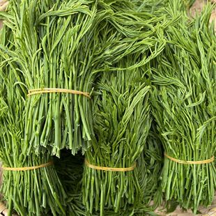 云南臭菜羽叶金合欢德宏傣族绿叶宴帕哈炒鸡蛋重口味蔬菜新鲜包邮