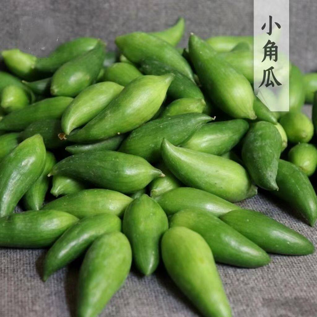 云南德宏特产新鲜蔬菜小雀瓜小角瓜美味素食新鲜现摘时令蔬菜包邮
