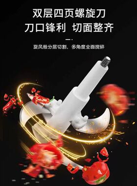 绞肉机龙德利大容量多功能电动家用搅拌不锈钢碎肉馅菜剁辣椒打蒜
