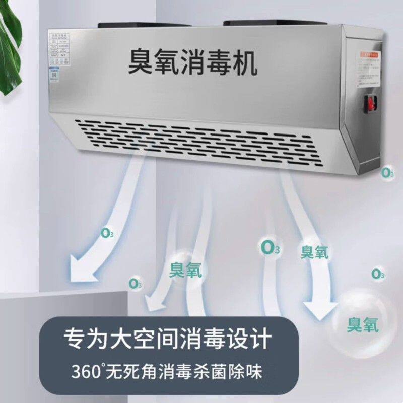 壁挂式臭氧发生器垃圾房除臭空气净化食品厂车间臭氧消毒机