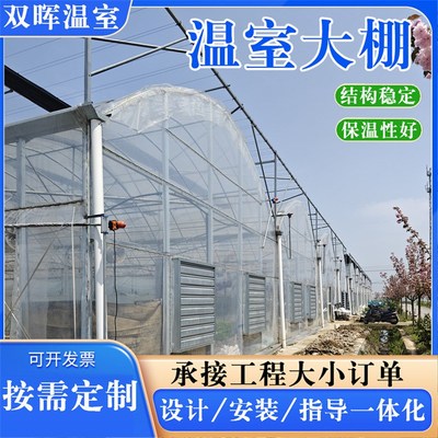速发薄膜简易连栋大棚 蔬菜大棚骨架 智能外遮薄膜连栋连体温室大