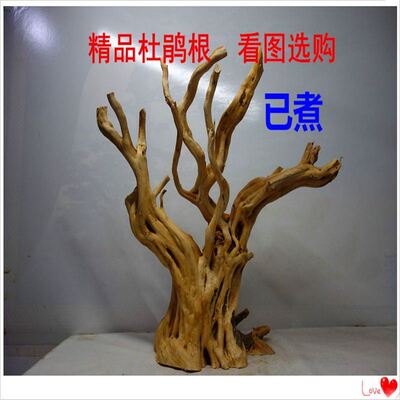 老树桩枯木已煮杜鹃根精品树桩鱼缸造景摆件沉木珊瑚木爬宠爬台