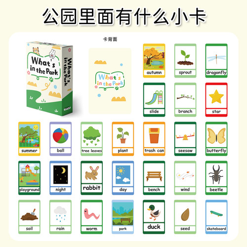儿童早教英语启蒙认知学习小卡