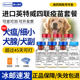 进口英特威狂犬疫苗狗四联套餐狗狗每年加强针宠物小狗幼犬全套针