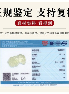 速发黄水晶貔貅水晶吊坠项链士锁骨链高级感轻奢国风饰品