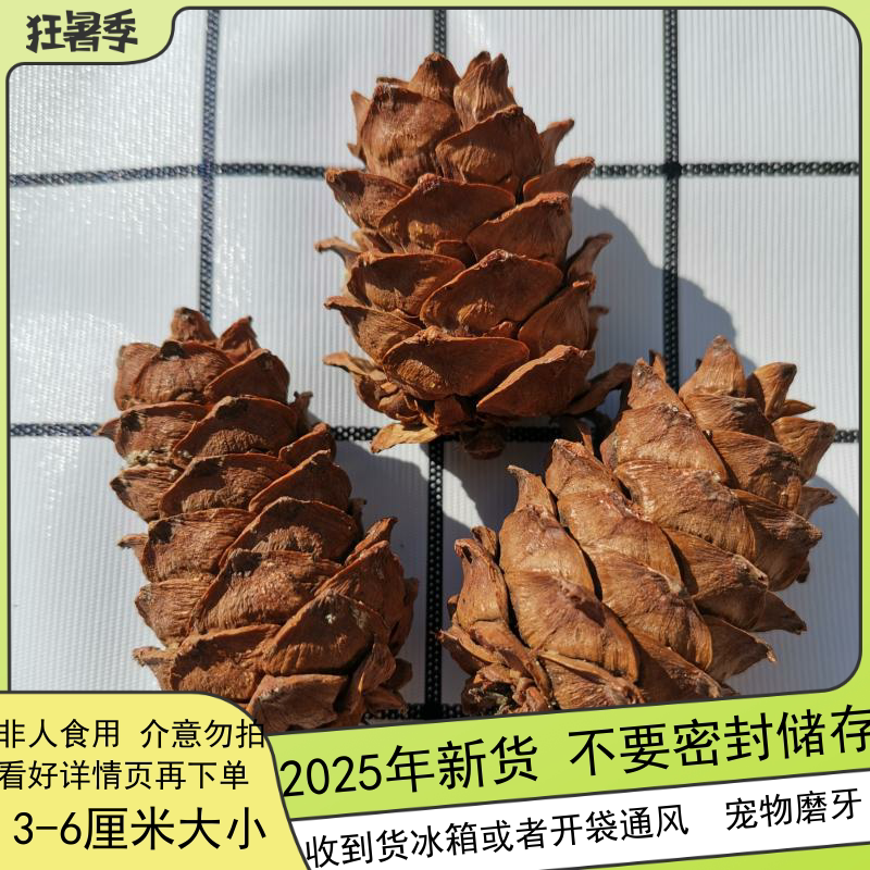 新货大兴安岭马尾松塔野生小松塔魔王松鼠磨牙松果粮食松子偃松塔