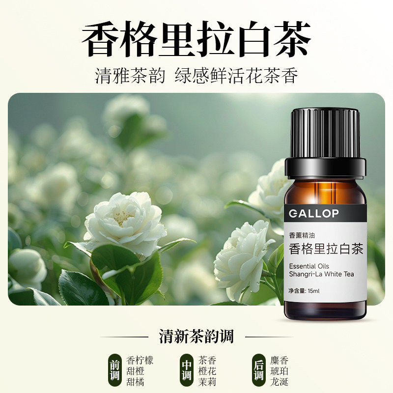 15ML香格里拉白茶精油香薰机专用