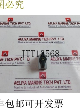 原装供应S34 CW617N 流量阀 PN15,200-CWP