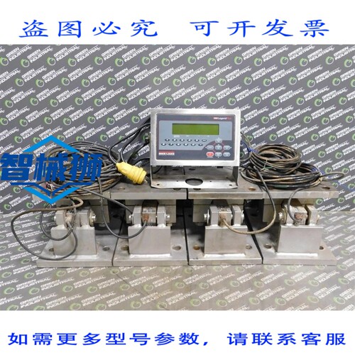 原装供应 Rice Lake 482PLUS-2A 数字秤指示器，带 4 个称重传感