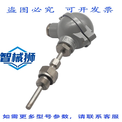 原装供应 RECKMANN 2 X PT100/B/2L/NL=125MM WR15-B2PT100D-300-