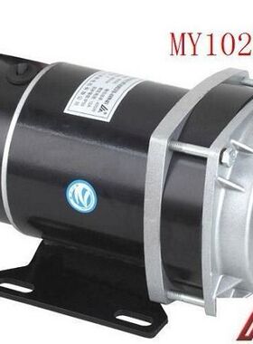 尤奈特永磁直流有刷电机MY112ZX-650W48V36V24V 电动三轮车配件
