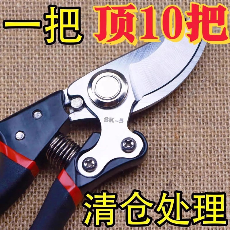 速发修枝剪园艺剪剪树枝果树专用剪刀修枝花卉果木葡萄剪子工具大
