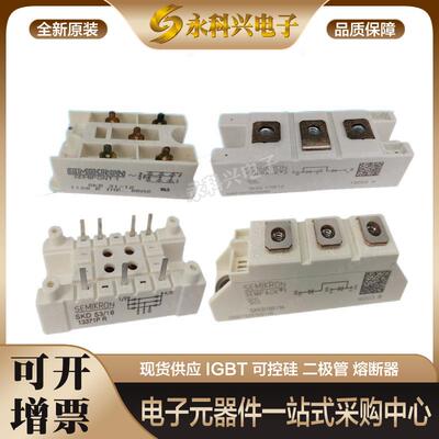 晶闸管功率模块SKD100GA123DGAL