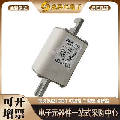 巴斯曼熔断器170M3023/4008/4009