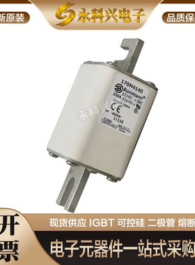全新进口巴斯曼熔断器170M3119/3120/3121/3122/3123/4108/4109