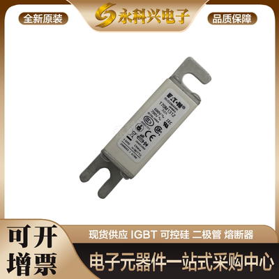 熔断器保险丝170M266326642665
