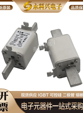 全新现货巴斯曼熔断器170M3370/3371/4358/4359/4360/4361/4362