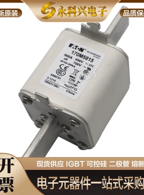 全新进口巴斯曼熔断器170M6115/6116/6117/6118/6119/6120/6121