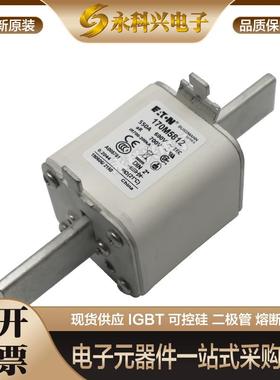 巴斯曼快速熔断器保险170M6060/6061/6062/6063/6064/6065/6066