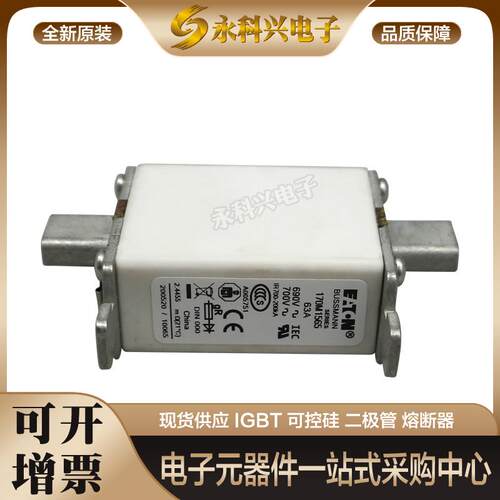 巴斯曼熔断器170M2619/2620/2621