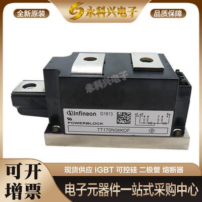 英飞凌可控硅二极管TT170N08KOF