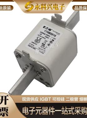 全新进口巴斯曼熔断器170M5389/5390/5391/5392/5393/5394/5395