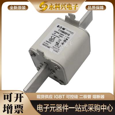 巴斯曼熔断器170M5389/5390/5391