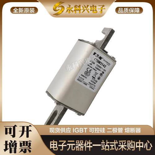 巴斯曼熔断器170M3221/3222/3223