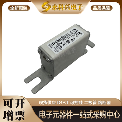 快速熔断器170M1418/1417/1416/1