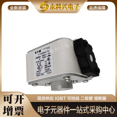 熔断器保险丝170M6748/6749/6750